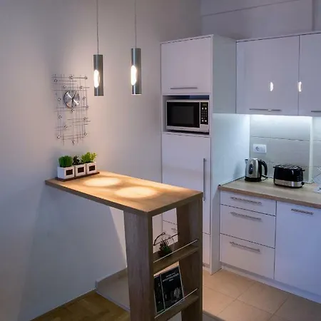 公寓 Perla Lux 阿然德洛维克